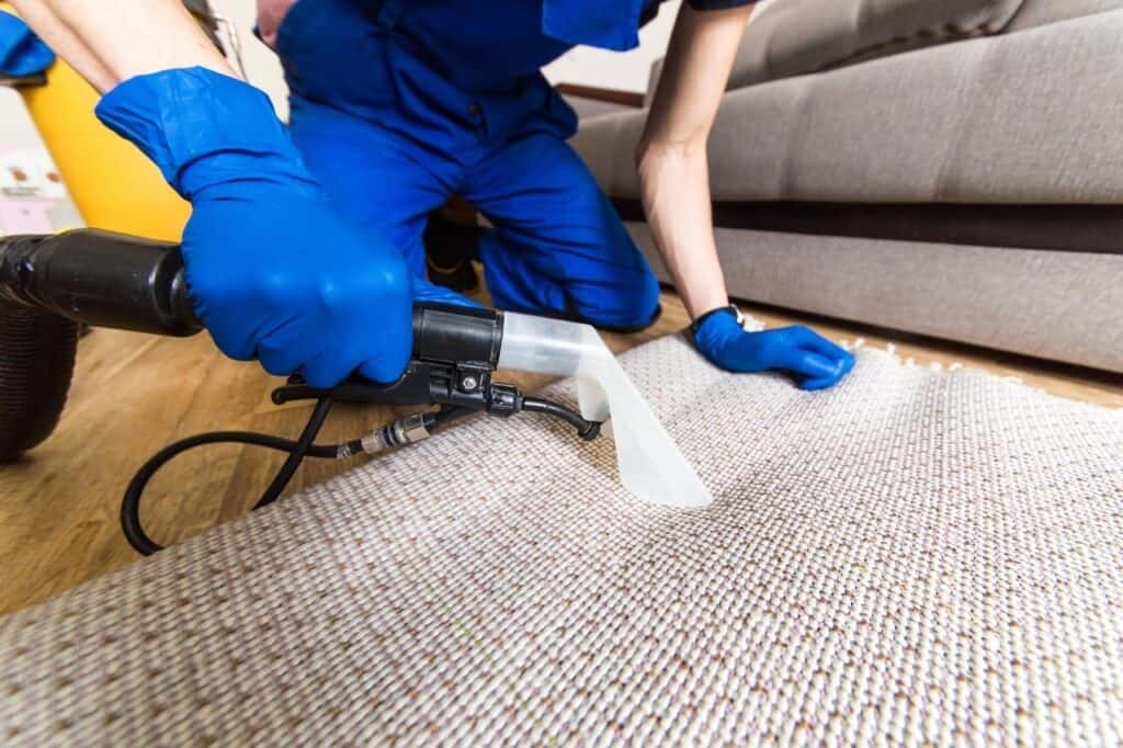 professional odour removal Calgary home